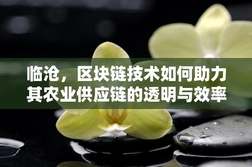 临沧，区块链技术如何助力其农业供应链的透明与效率？