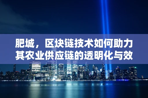 肥城，区块链技术如何助力其农业供应链的透明化与效率提升？