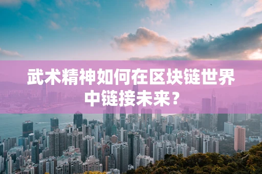 武术精神如何在区块链世界中链接未来？
