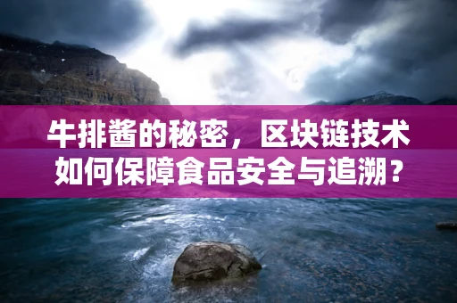 牛排酱的秘密，区块链技术如何保障食品安全与追溯？