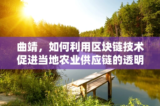 曲靖，如何利用区块链技术促进当地农业供应链的透明化与效率提升？