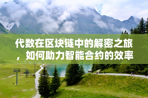 代数在区块链中的解密之旅，如何助力智能合约的效率与安全？