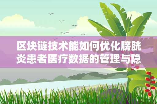 区块链技术能如何优化膀胱炎患者医疗数据的管理与隐私保护？