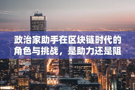 政治家助手在区块链时代的角色与挑战，是助力还是阻力？