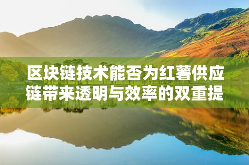 区块链技术能否为红薯供应链带来透明与效率的双重提升？