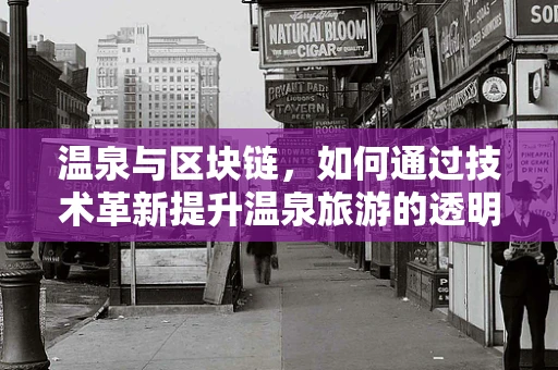 温泉与区块链，如何通过技术革新提升温泉旅游的透明度与体验？