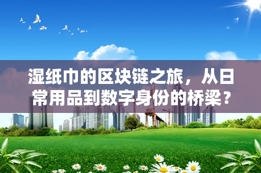 湿纸巾的区块链之旅，从日常用品到数字身份的桥梁？