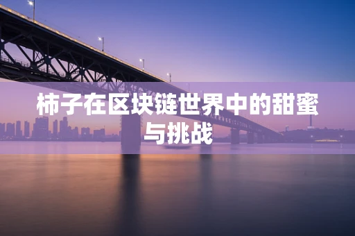 柿子在区块链世界中的甜蜜与挑战