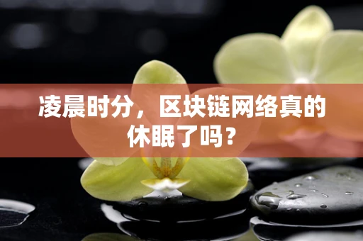 凌晨时分，区块链网络真的休眠了吗？