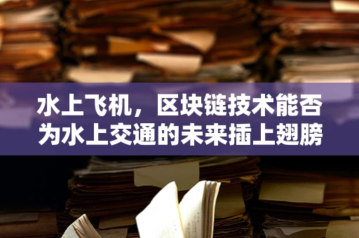 水上飞机，区块链技术能否为水上交通的未来插上翅膀？