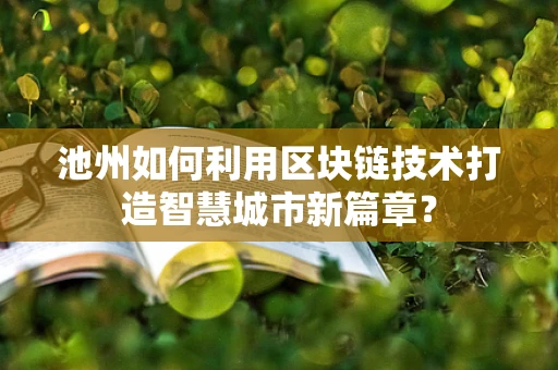 池州如何利用区块链技术打造智慧城市新篇章？