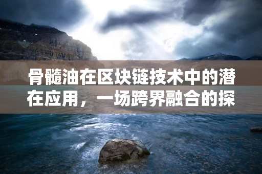 骨髓油在区块链技术中的潜在应用，一场跨界融合的探索？
