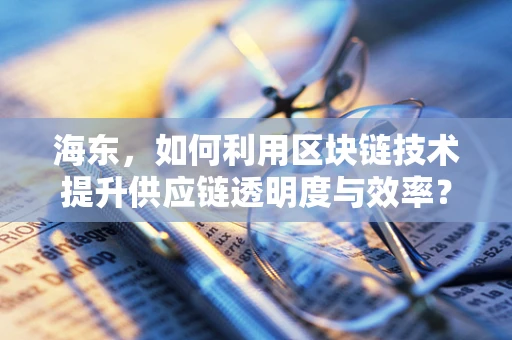 海东，如何利用区块链技术提升供应链透明度与效率？