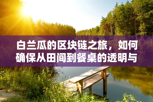 白兰瓜的区块链之旅，如何确保从田间到餐桌的透明与安全？