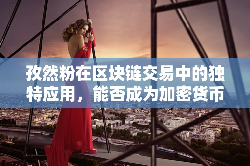 孜然粉在区块链交易中的独特应用，能否成为加密货币的调味剂？