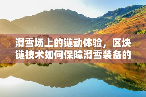 滑雪场上的链动体验，区块链技术如何保障滑雪装备的透明与安全？