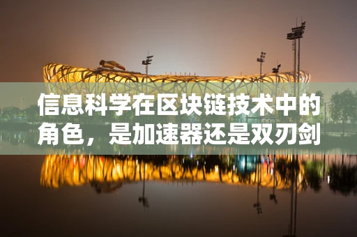 信息科学在区块链技术中的角色，是加速器还是双刃剑？