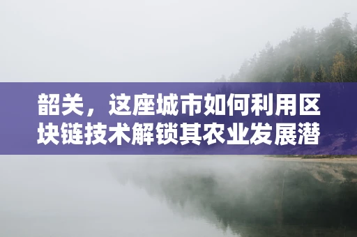 韶关，这座城市如何利用区块链技术解锁其农业发展潜力？
