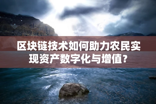 区块链技术如何助力农民实现资产数字化与增值？