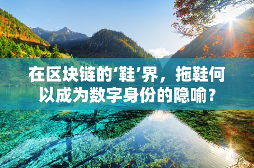 在区块链的‘鞋’界，拖鞋何以成为数字身份的隐喻？