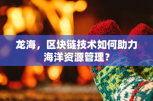 龙海，区块链技术如何助力海洋资源管理？
