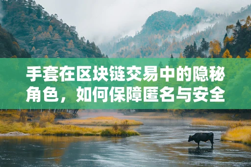 手套在区块链交易中的隐秘角色，如何保障匿名与安全？