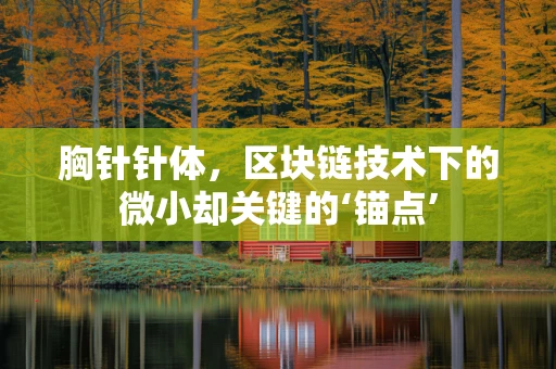 胸针针体，区块链技术下的微小却关键的‘锚点’