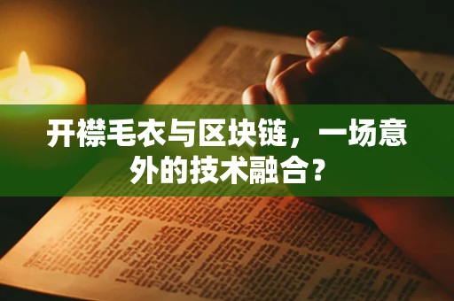 开襟毛衣与区块链，一场意外的技术融合？