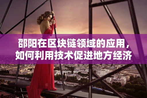 邵阳在区块链领域的应用，如何利用技术促进地方经济发展？