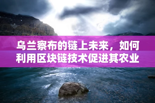 乌兰察布的链上未来，如何利用区块链技术促进其农业供应链的透明与效率？