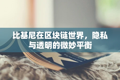 比基尼在区块链世界，隐私与透明的微妙平衡