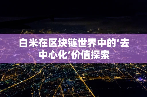 白米在区块链世界中的‘去中心化’价值探索