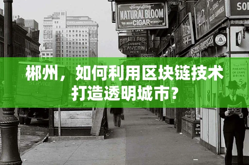 郴州，如何利用区块链技术打造透明城市？
