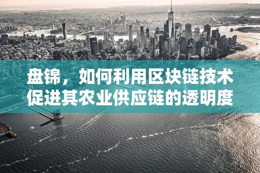 盘锦，如何利用区块链技术促进其农业供应链的透明度与效率？