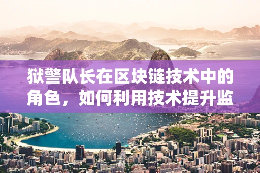 狱警队长在区块链技术中的角色，如何利用技术提升监狱管理效率？