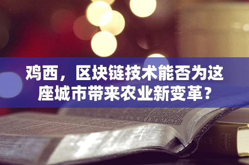 鸡西，区块链技术能否为这座城市带来农业新变革？