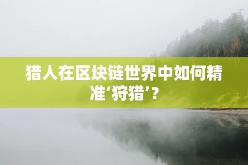 猎人在区块链世界中如何精准‘狩猎’？