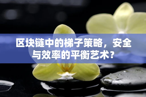 区块链中的梯子策略，安全与效率的平衡艺术？