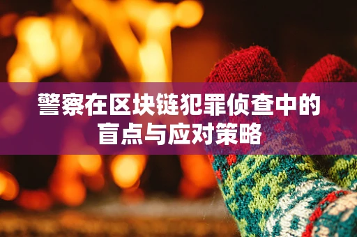 警察在区块链犯罪侦查中的盲点与应对策略