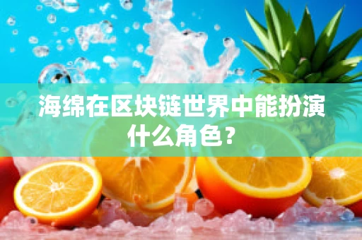 海绵在区块链世界中能扮演什么角色？