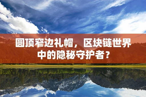 圆顶窄边礼帽，区块链世界中的隐秘守护者？