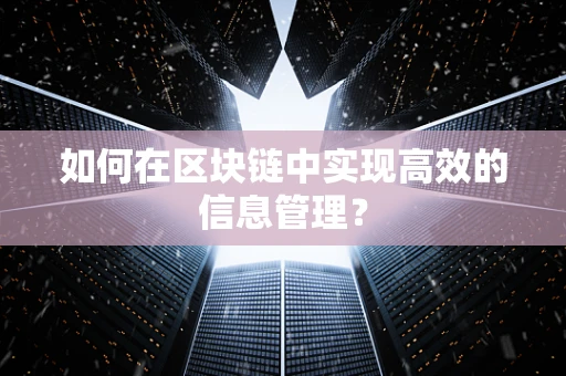 如何在区块链中实现高效的信息管理？