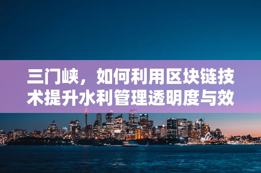 三门峡，如何利用区块链技术提升水利管理透明度与效率？