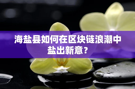 海盐县如何在区块链浪潮中盐出新意？