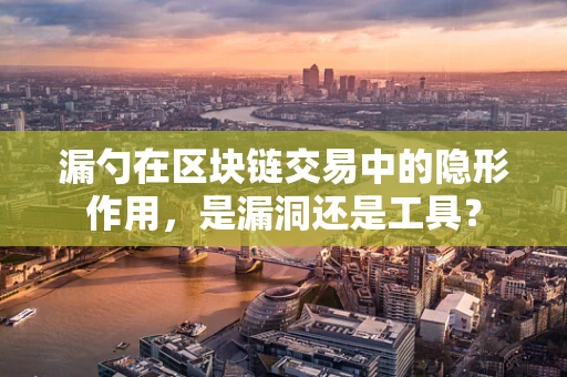 漏勺在区块链交易中的隐形作用，是漏洞还是工具？