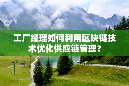 工厂经理如何利用区块链技术优化供应链管理？