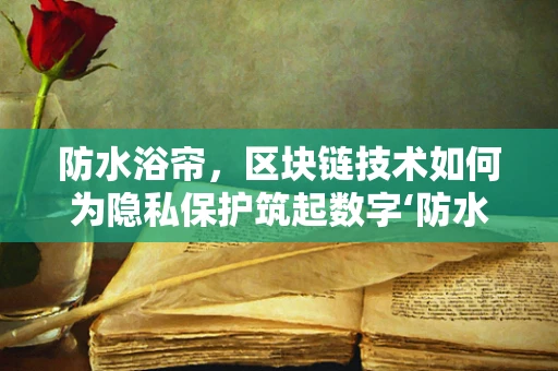防水浴帘，区块链技术如何为隐私保护筑起数字‘防水坝’？