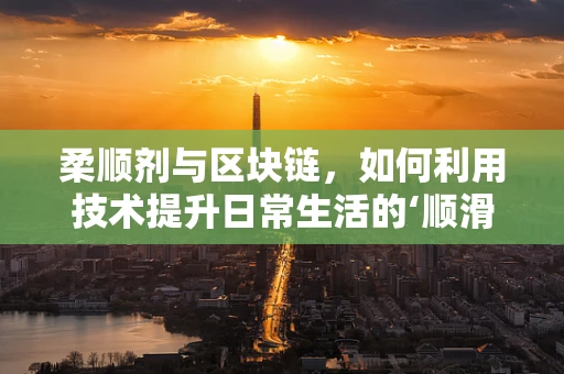 柔顺剂与区块链，如何利用技术提升日常生活的‘顺滑度’？