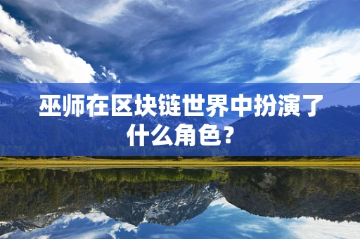 巫师在区块链世界中扮演了什么角色？