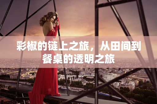 彩椒的链上之旅，从田间到餐桌的透明之旅